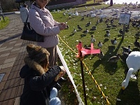 ebina20_01