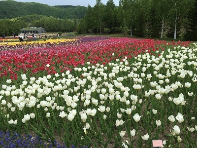 tomitaka1806061_400