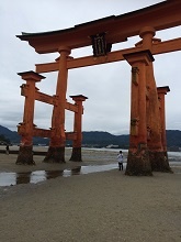 yuyu